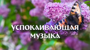 Успокаивающая музыка на гуслях: гармония звуков для релаксации и медитации