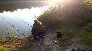 Рыбалка на Дону Меркуловский 2014 6 июня Don river fishing.