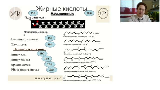 Жирные кислоты. Введение