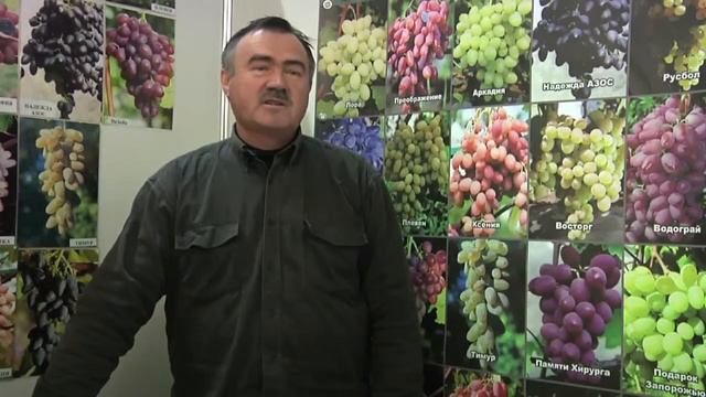 Сивчук Сергей Васильевич. Виноградарство.