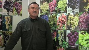 Сивчук Сергей Васильевич. Виноградарство.