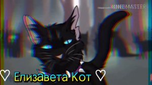 Коты Воители. Клип. ~Есть два типа людей~