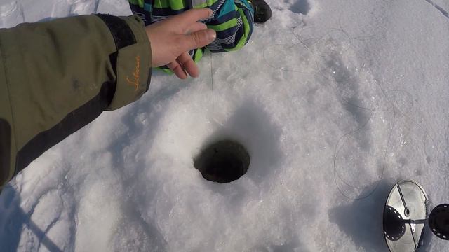 НАЛИМ НА ЗИМНЮЮ ЖЕРЛИЦУ / BURBOT THE WINTER IMITATION FISH смотреть онлайн