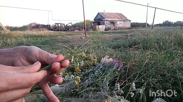 Простой венок из полевых цветов смотреть онлайн