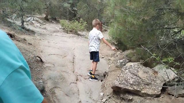 Новый свет