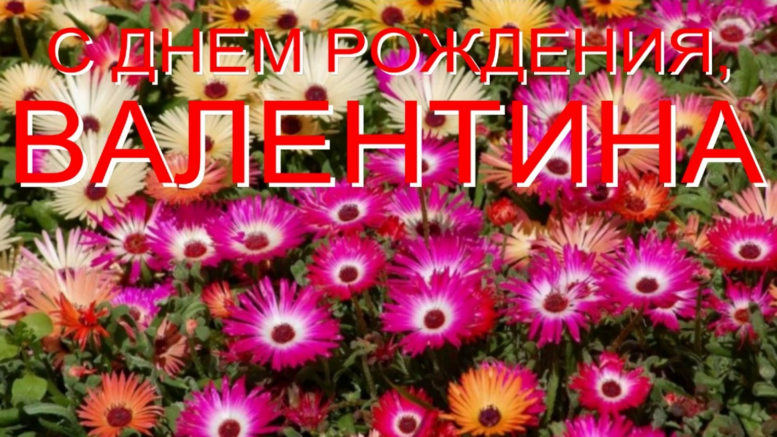 С ДНЕМ РОЖДЕНИЯ, ВАЛЕНТИНА