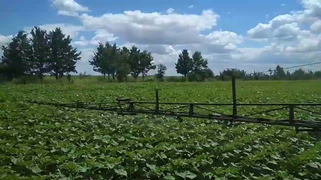 Опрыскиватель на базе ГАЗ 66 вид из салона авто смотреть онлайн