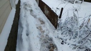 СКВАЖИНА ИГЛА ЖЕЛОНКОЙ,СНТ "ЧЕРЁМУШКИ". пос.БЕРЁЗОВАЯ ПОЙМА #абиссинскаяскважина#скважинаигла