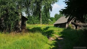 Сельские пейзажи
