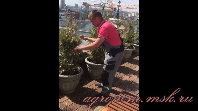 Услуги садовников