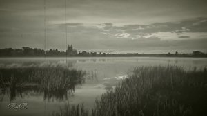 ЯСНОЙ НОЧКОЙ - исполняет Зоя Рождественская