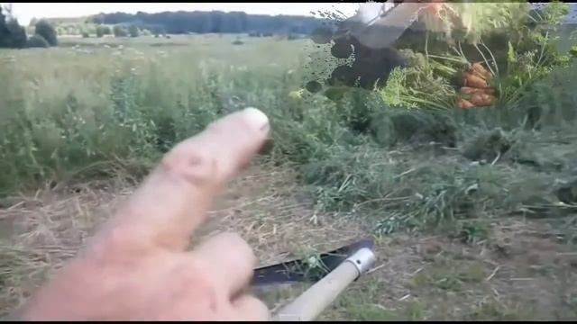 В ЗЮЗЮ ПЬЯНАЯ      прикольн