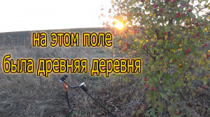 Коп на месте древней деревни! Много находок: монеты от времен правления Екатерины 2, до советских!