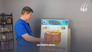 С какого месяца начинают прорастать пересаженные волосы?|| пересадка волос