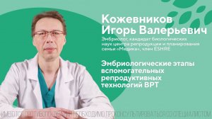 Эмбриологические этапы вспомогательных репродуктивных технологий ВРТ. Кожевников Игорь Валерьевич