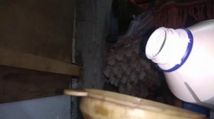Антифриз Ниссан Кашкай