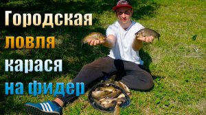 Городская ловля карася на фидер. Ловим умно, ловим много!!!