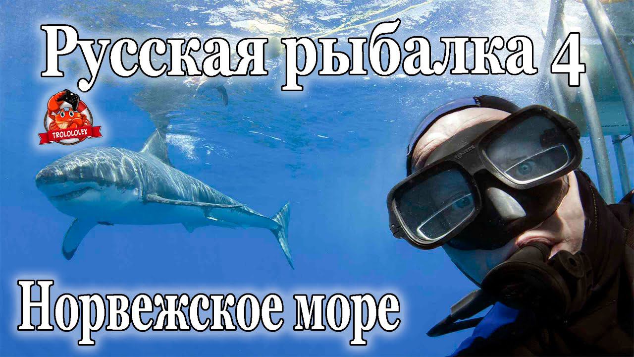 Русская рыбалка 4 В поисках редких видов смотреть онлайн