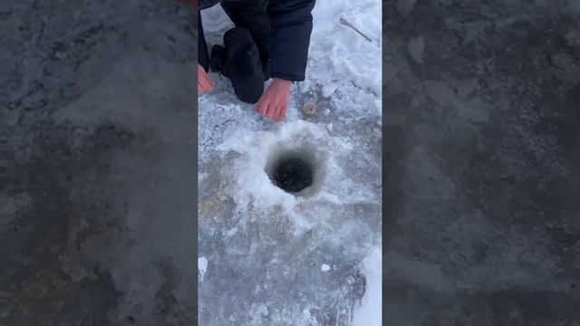 Встреча с сыном на рыбалке. Чай. смотреть онлайн