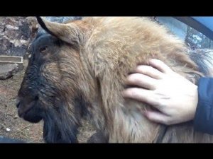 Краеведческий музей Медовые Водопады в Карачаево-Черкессии 2018