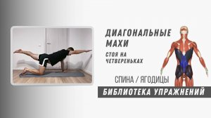 Диагональные махи стоя на четвереньках. Техника выполнения. Упражнение для укрепления спины.