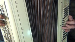 Любимый город (отрывок на баяне)