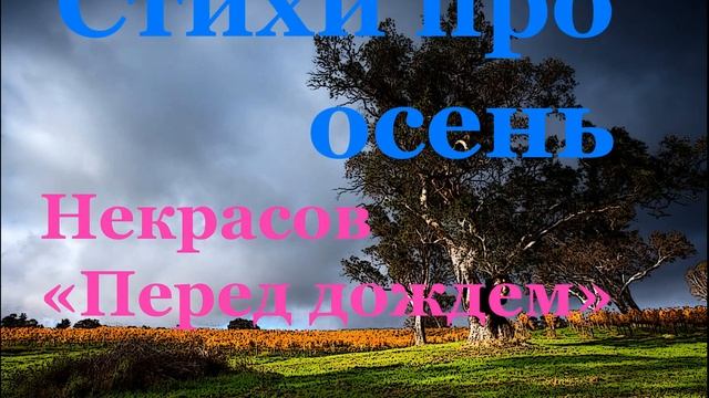 Стихотворения про осень. Некрасов 