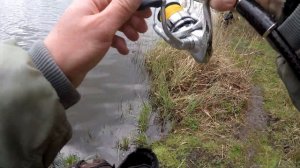 СУДАК НА ДЖИГ-РИГ ! 50 штук за рыбалку! ВЕСЕННИЙ ЖОР ! ГРЕБЕНИКОВКА