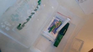 Как оставить собаку дома.