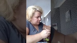 Черенкование пряных трав