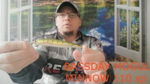Обзор воблеров 110-го размера за 5 лет. Рейтинг лучших...