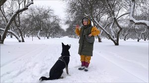 Блогер или курьер, ЧТО я выберу  Чищу жизнь от НЕНУЖНЫХ людей /  РЕЗУЛЬТАТ дрессировки моей собаки