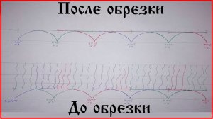 Обрезка винограда в 2022 году