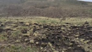 В поисках клада ( Воронежская область ) день 2