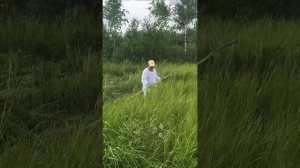 Дядя Витя косит траву