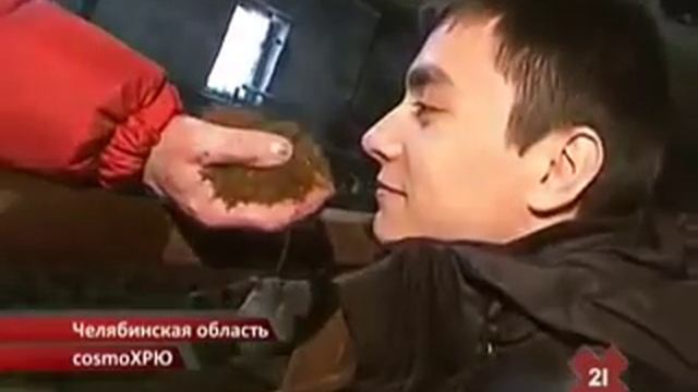 Подстилка для свиней (ферметационная подстилка)