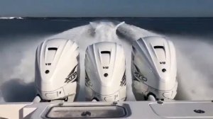 Браконьеры Каспийского моря ,, Волга Астрахань