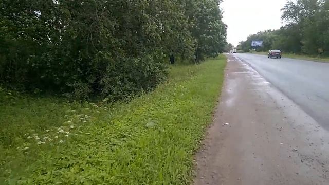 Самая высокая точка Санкт-Петербурга - по Гатчинскому шоссе - 3 ч из 11 смотреть онлайн