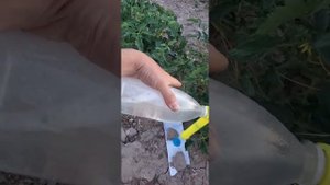 Как действует био прилепатель Липосам и для чего им пользоваться?