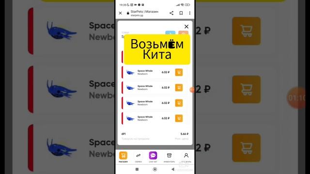 Проверка сайта Star Pets!