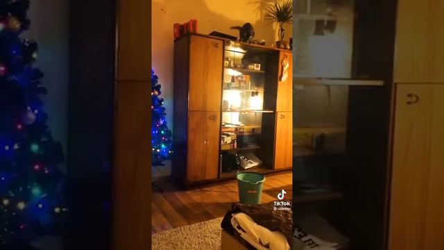 Смешные видео с животными смотреть онлайн