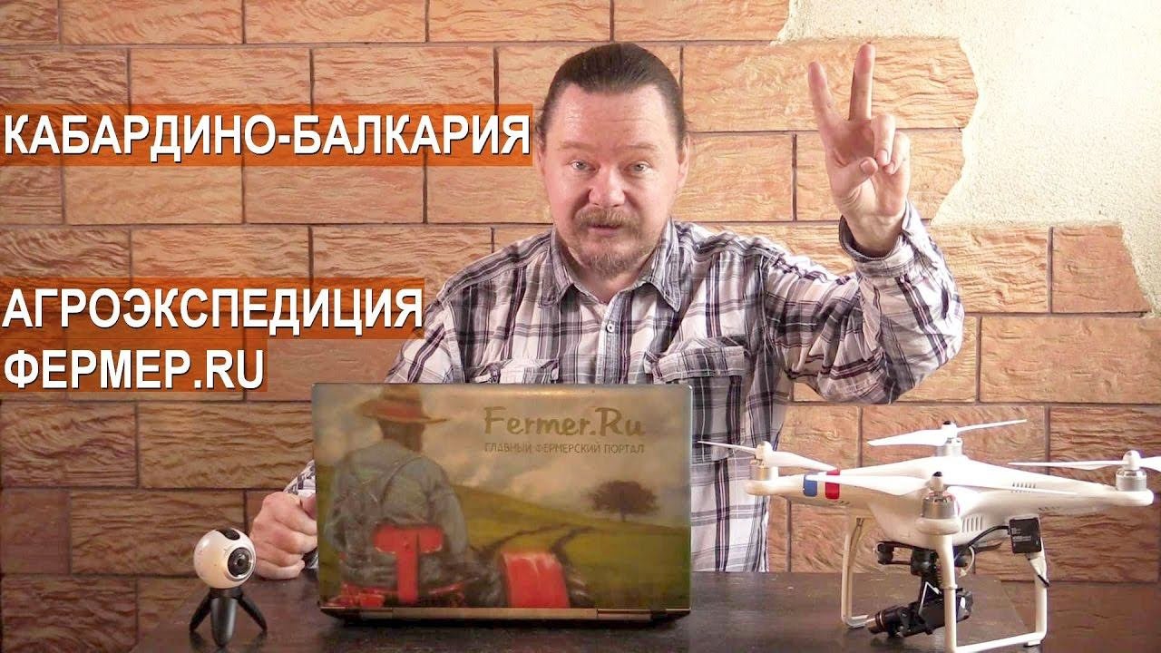 Анонс агроэкспедиции в Кабардино-Балкарию. Табунное коневодство. Кабардинская порода лошадей