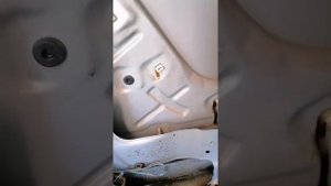 Вода в багажнике.