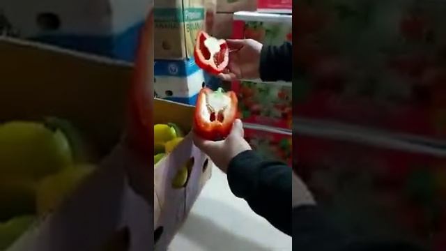 болгарский перец Иран оптом