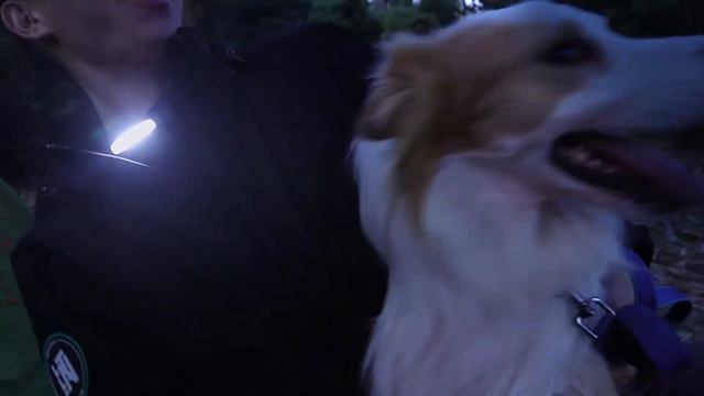 New! C STAR Innovative Multifunction Light, Headlamp + Neck Light! смотреть онлайн