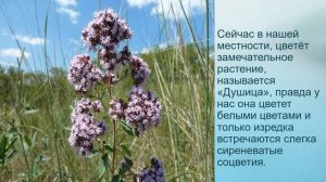 Мастер класс «Красота природы, плюс фантазия!» СДК с.Молдовановка.