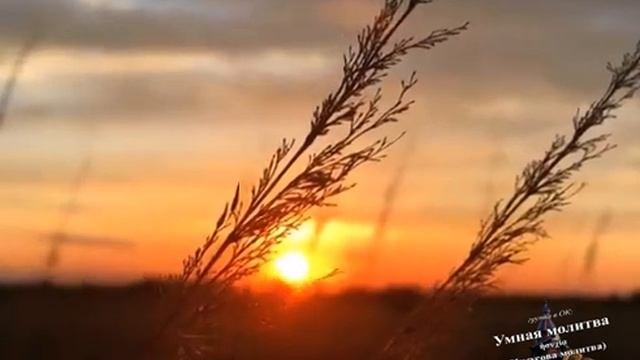 Искусство среднего пути.mp4 смотреть онлайн