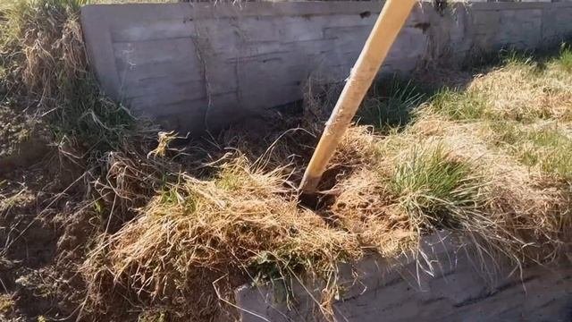 ЛЮБИМЫЙ САД