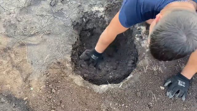 Сажаем гортензию смотреть онлайн