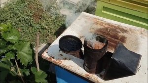 Проверка приёма маток и осмотр пчёл осенью в первой декаде сентября.
